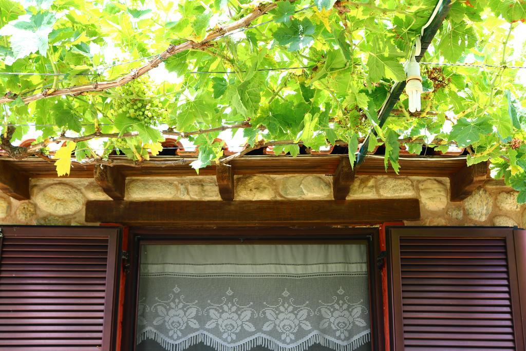 Villa Agapitos Sithonia Exterior photo